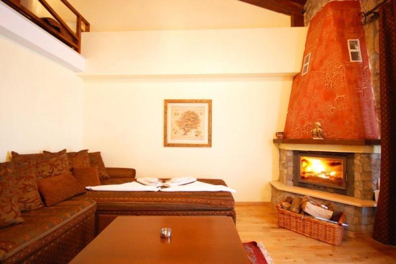 Vasilitsa Spa Resort グレヴェナ 部屋 写真