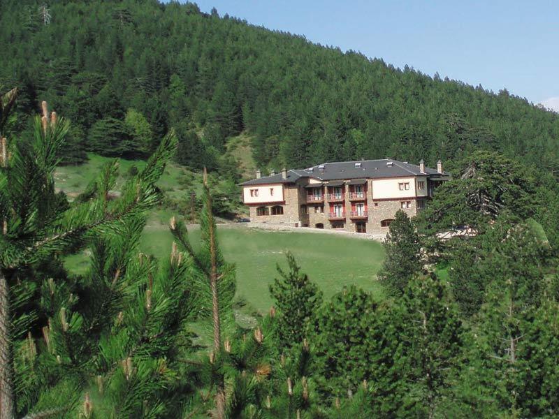 Vasilitsa Spa Resort グレヴェナ エクステリア 写真