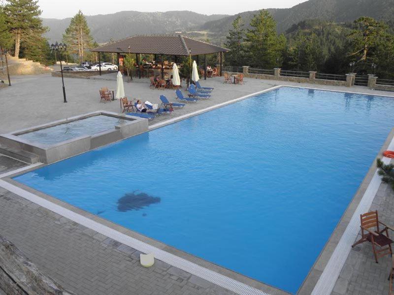 Vasilitsa Spa Resort グレヴェナ エクステリア 写真