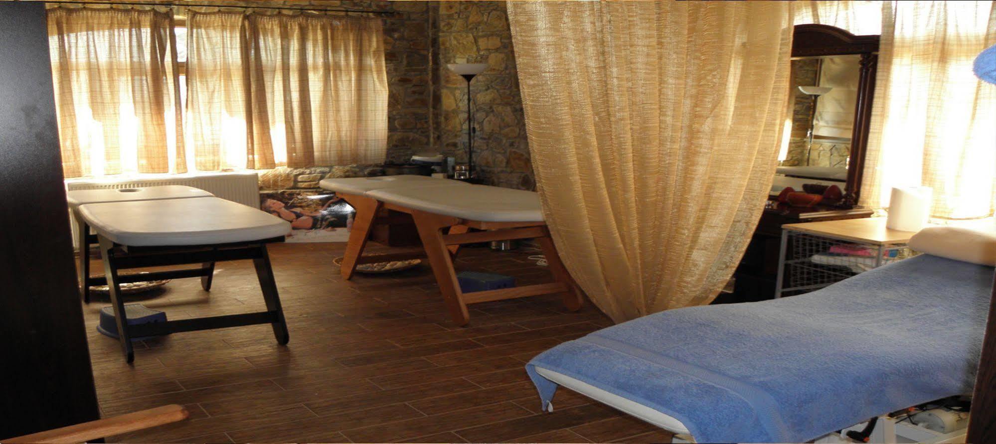 Vasilitsa Spa Resort グレヴェナ エクステリア 写真